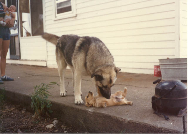 img432