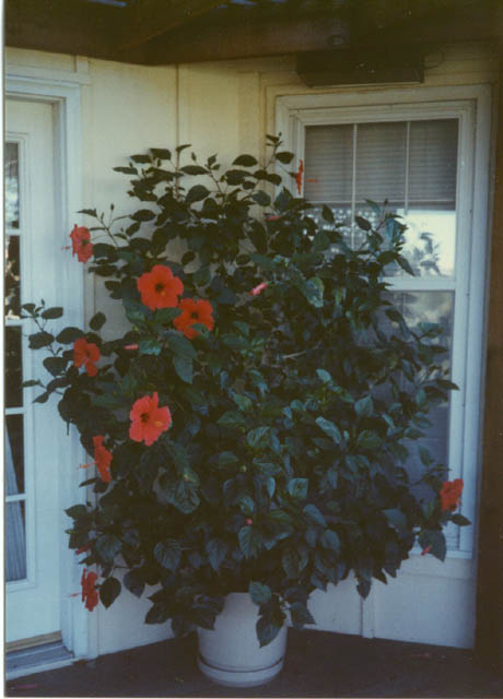 img750