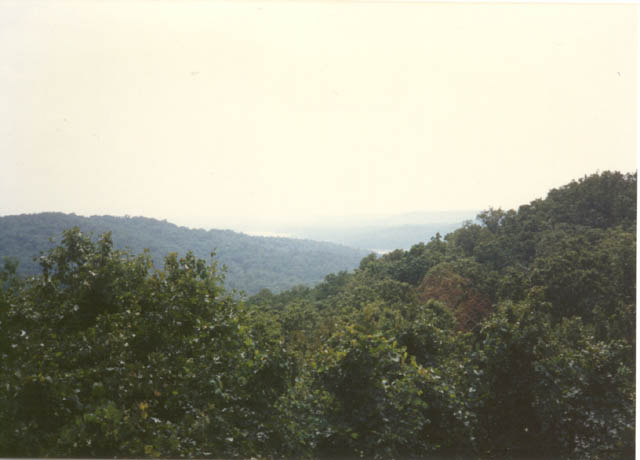 img905