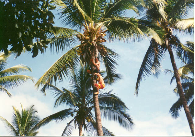 img13-16