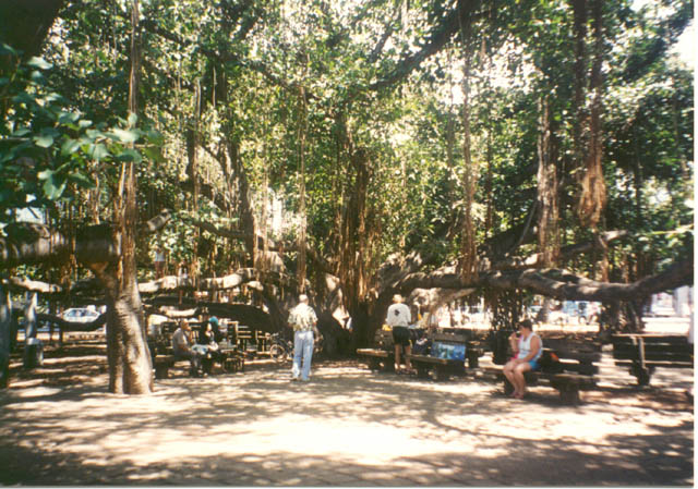 img13-20