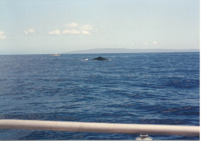 img13-21