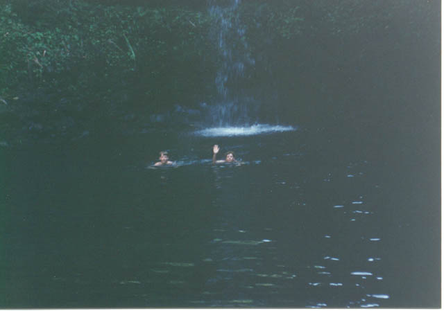 img13-31