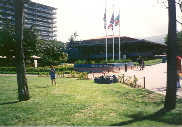 img13-37