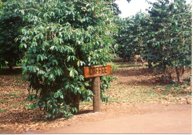img13-41