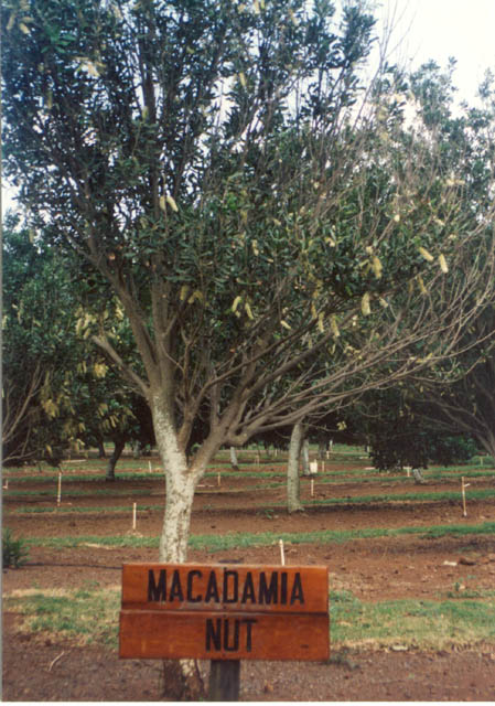img13-42