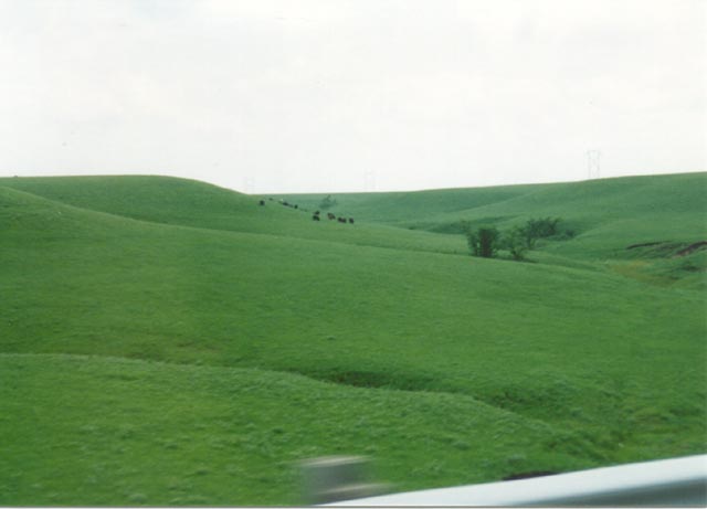 img14b-28