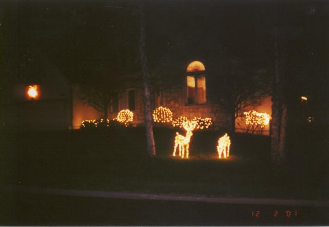 img19-29